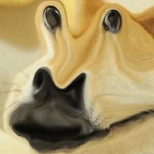 Meet your Posher, Tucker